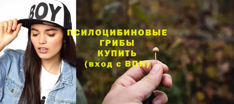 Галлюциногенные грибы MAGIC MUSHROOMS  где купить наркоту  Бронницы 